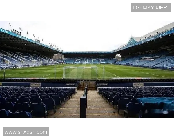 水晶宫与哈德斯激战正酣精彩对决引发球迷热议