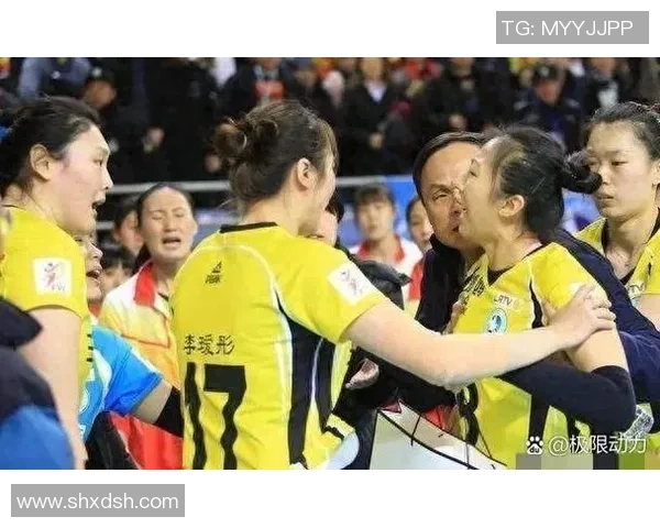 河南女排与河北女排激战正酣谁能在这场较量中笑到最后