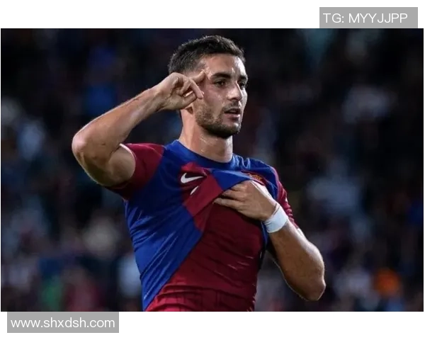 费兰托雷斯：从新星崛起到足球巨星的华丽转身与未来展望